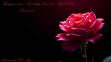 Spurgeon am Samstag, dem 04. April 2026, zu Psalm 34,21