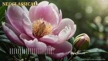 Slow Bloom - Neoclassical Piano Music for Sleep, Focus, Rest and Relaxation
