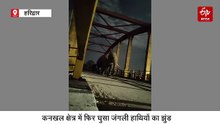कनखल क्षेत्र में फिर घुसा जंगली हाथियों का झुंड, लोगों में अफरा तफरी, वायरल हुआ वीडियो