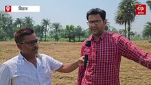 भारी बारिश से तबाही का मंजर, बिहार में किसानों की खून पसीने की कमाई कीचड़ में मिली