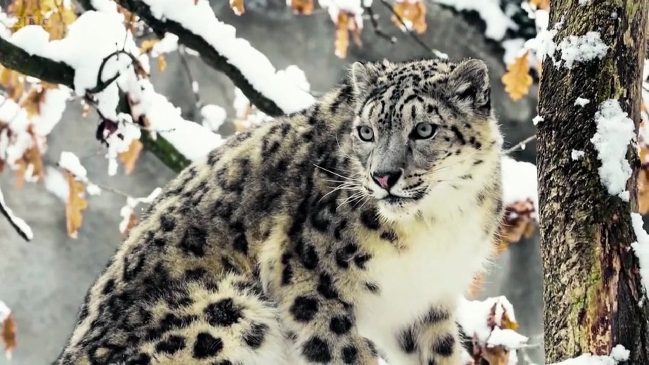 Race Across The World Season 6 Episode 1 (2026)