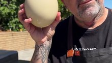 Worlds largest Pan Fried Deviled Egg using an Ostrich Egg #deviledeggs #eggs #ostrich