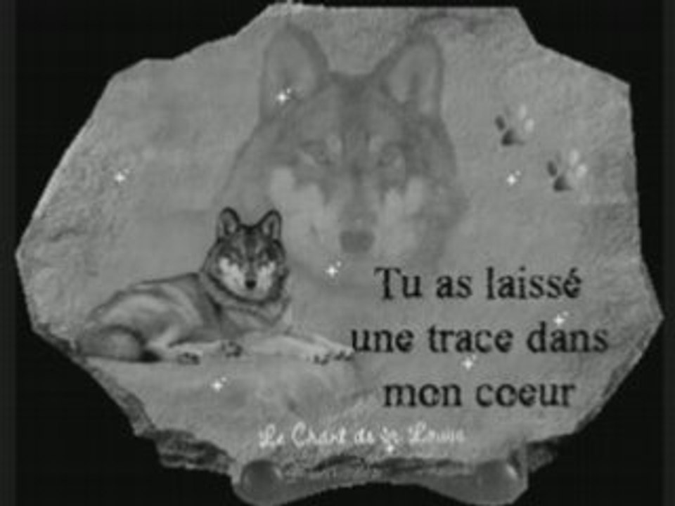 L AMOUR QUE JE PORTE A MON ANGE