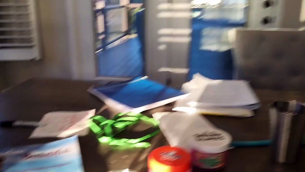 Border Collie Chaos