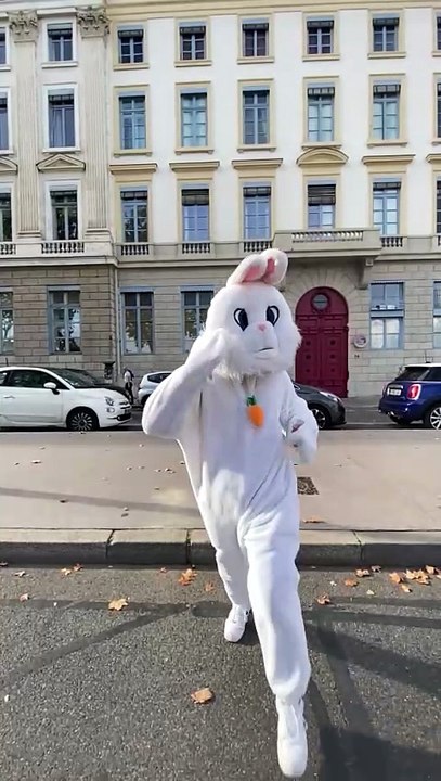 Lapinou in love