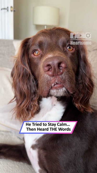 Dog Can’t Handle the Words “Walk Time”—Pure Joy Unleashed|| Heartsome 💖