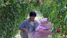 Cabbage Your Life Episode 2 Engsub