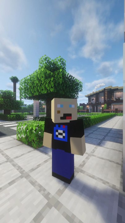 Un Kikoo est attaqué par un monstre de pierre du Nether ! 🤯