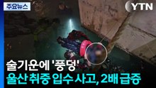 술기운에 '풍덩'...울산 취중 입수 사고, 2배 급증 / YTN