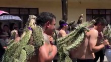 Extreme Devotion: The Nopal Cactus Procession in Angangueo, Mexico | Sacred Traditions