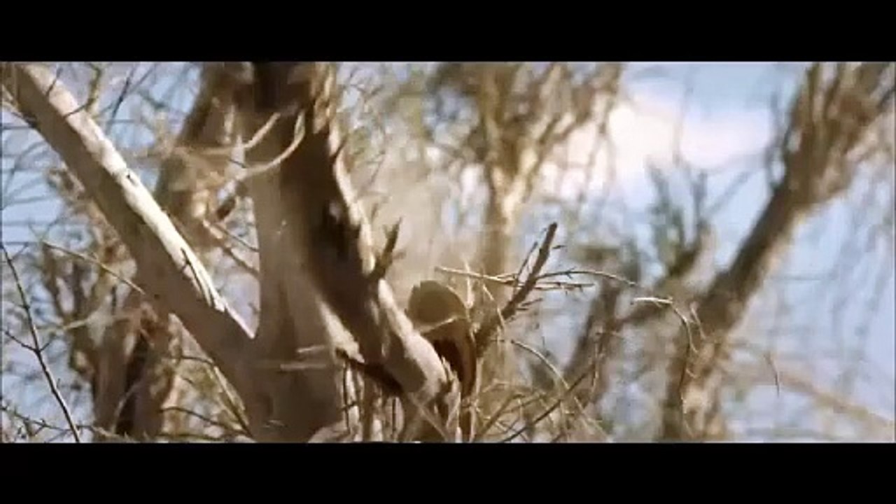 Eng Dub Wolf Valley Hunted By Soldiers And Bandits, Surrounded By Wolves - Video