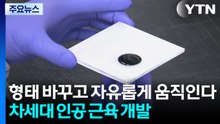 "형태 바꾸고 자유롭게 움직인다"...차세대 인공근육 개발 / YTN
