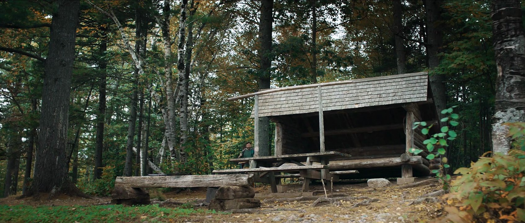 The Keeper of the Camphor Tree 2026 Full Movie Streaming HD | Watch Online Free