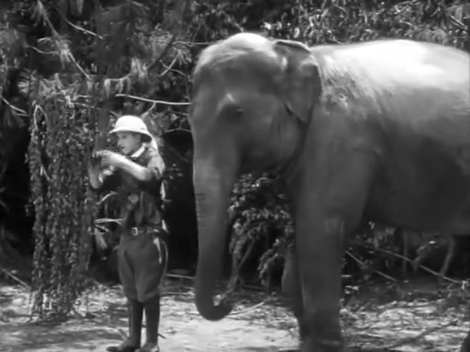 Roughest Africa – Into the Untamed Jungle