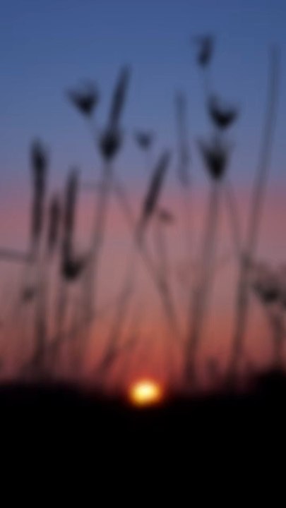 Même quand la journée s’éloigne, tout n’est pas perdu. Il reste encore du calme, du souffle, et un peu de lumière. 🤍