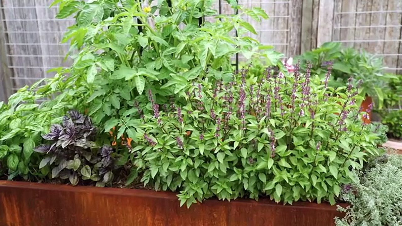 Better.Homes.and.Gardens.S32E13.