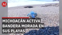 Aviso preventivo por presencia de Dragon Azul en playas de Michoacán