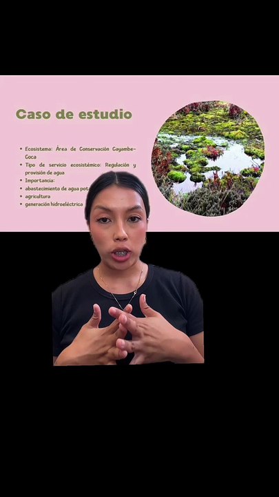 AMBIENTAL