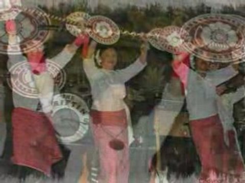 Bunga Melati Pasar Malam Zeist 2008