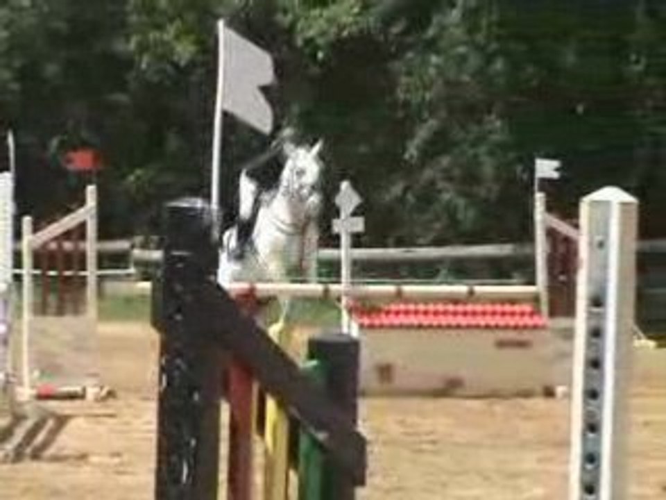 Margot et Faérie 1 (3)