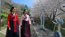 벗꽃 구경 운동 화사 Hwasa is a cherry blossom-watching exercise
