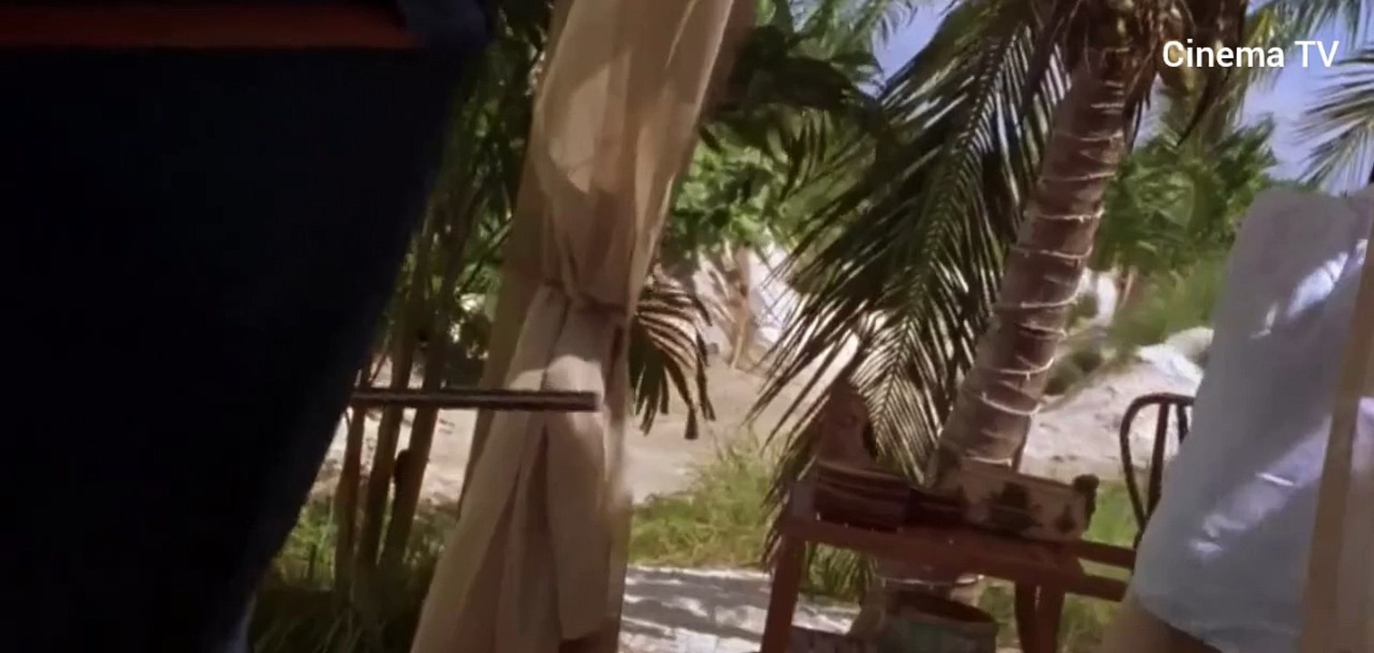 El Castigador (The Punisher) Película Completa en Español Latino