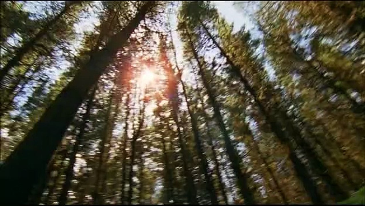 Prehistoric.Park.S01E03.FRENCH