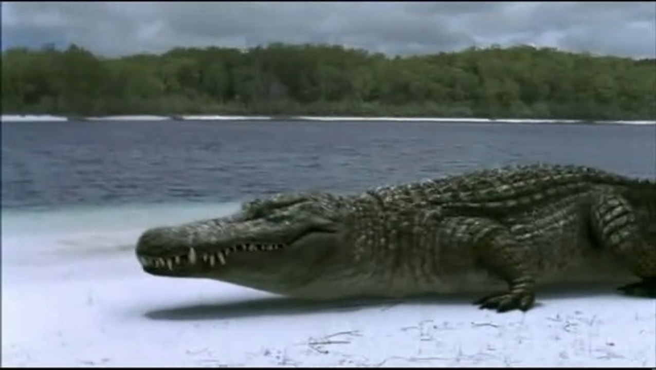 Prehistoric.Park.S01E06.FINAL.FRENCH