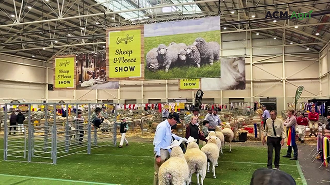 A look inside the 2026 Sydney Royal Easter Show