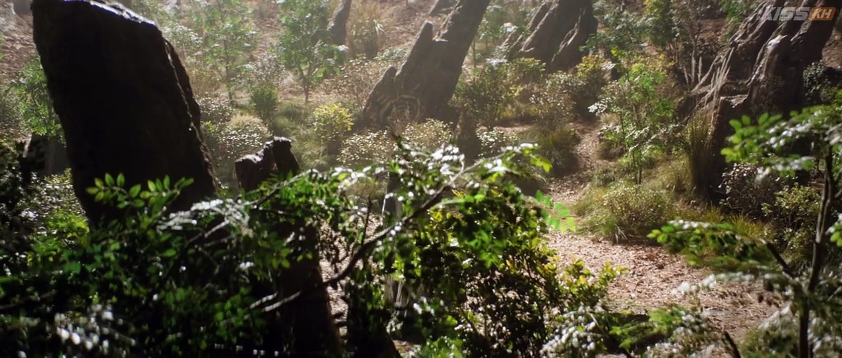 Veil of Shadows Episode 12 #SERIESHUB