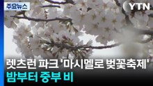 [날씨] 이색적인 '馬시멜로 벚꽃축제'...오늘 밤 중부부터 비 / YTN