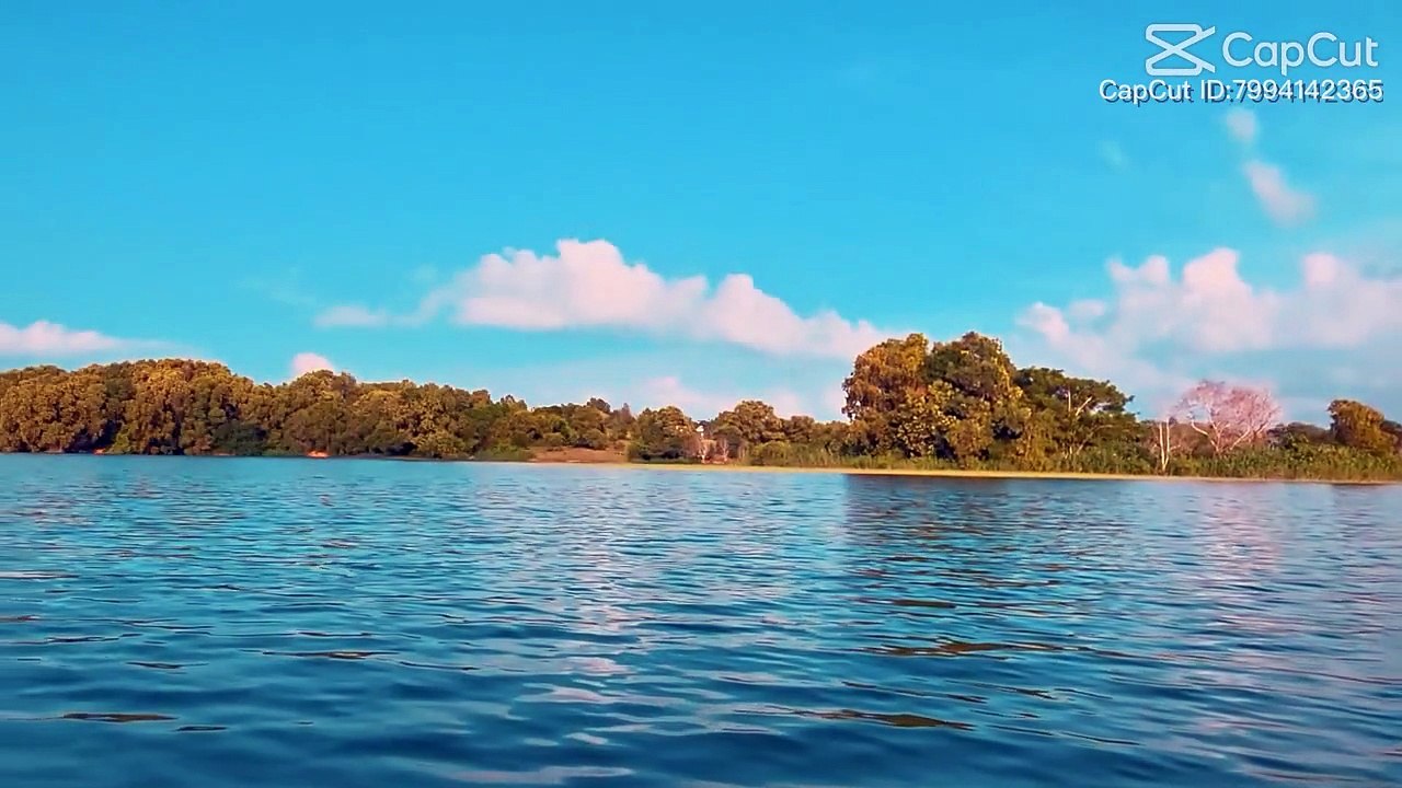 Daily motion view