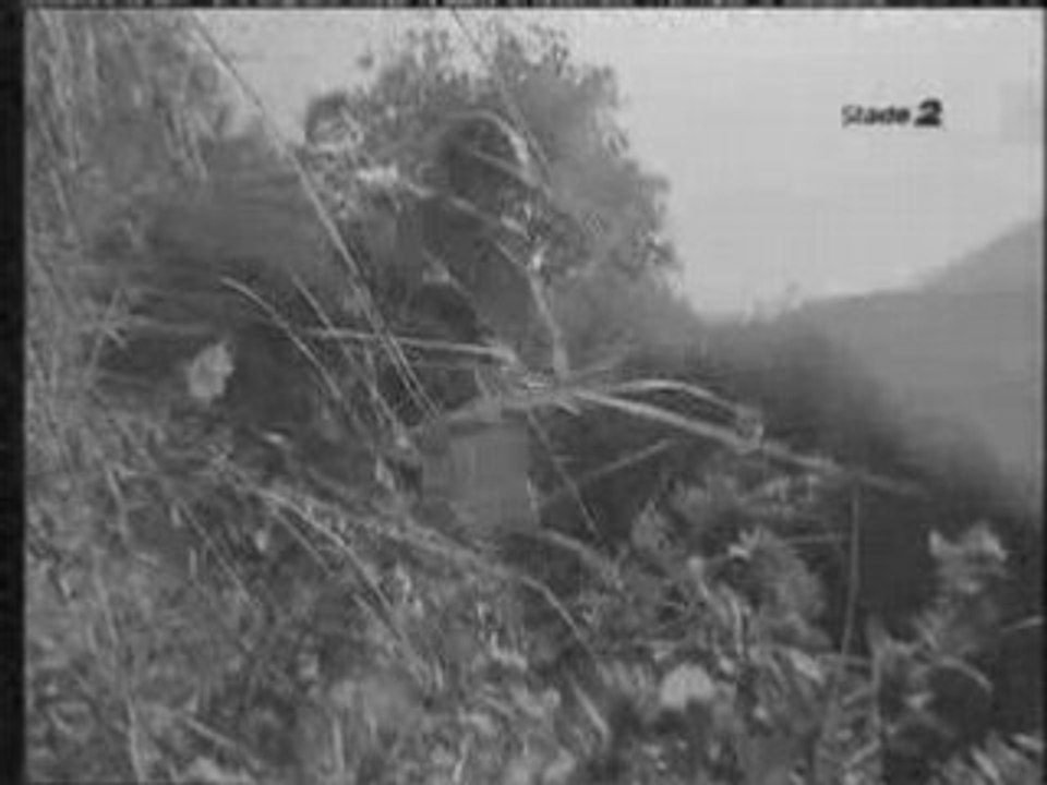 MegaValanche  alpe dhuez 1998