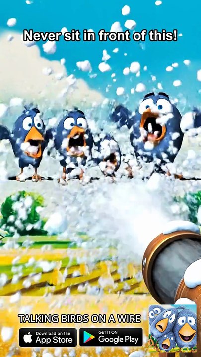 Never sit in front of this! 💥 Talking Birds On A Wire Game