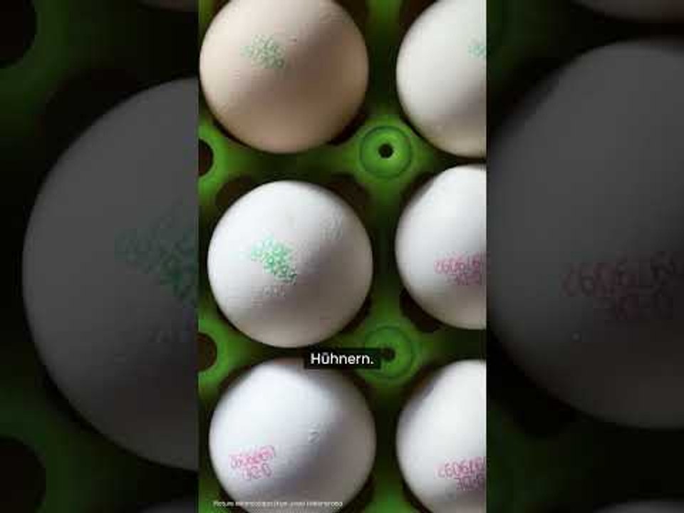 Die größten Ostereier-Irrtümer: Braun oder weiß? Darauf sollten Sie beim Eier-Kauf wirklich achten