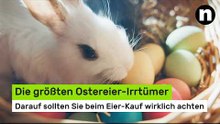 Die größten Ostereier-Irrtümer: Braun oder weiß? Darauf sollten Sie beim Eier-Kauf wirklich achten