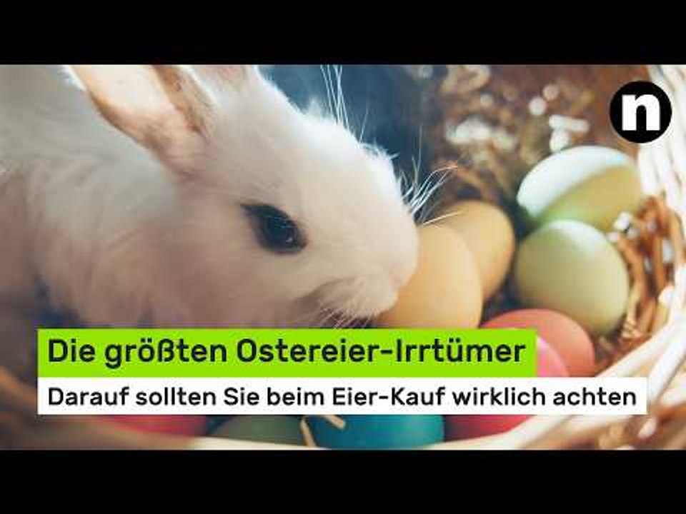 Die größten Ostereier-Irrtümer: Braun oder weiß? Darauf sollten Sie beim Eier-Kauf wirklich achten