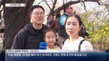 “비 소식에 서둘러 나왔어요”…너무 빠른 ‘벚꽃 엔딩’?
