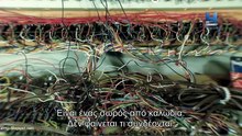 Τα Πιο Παράξενα Αντικείμενα - Το Καπέλο από Δόντια (The Hat of Teeth)