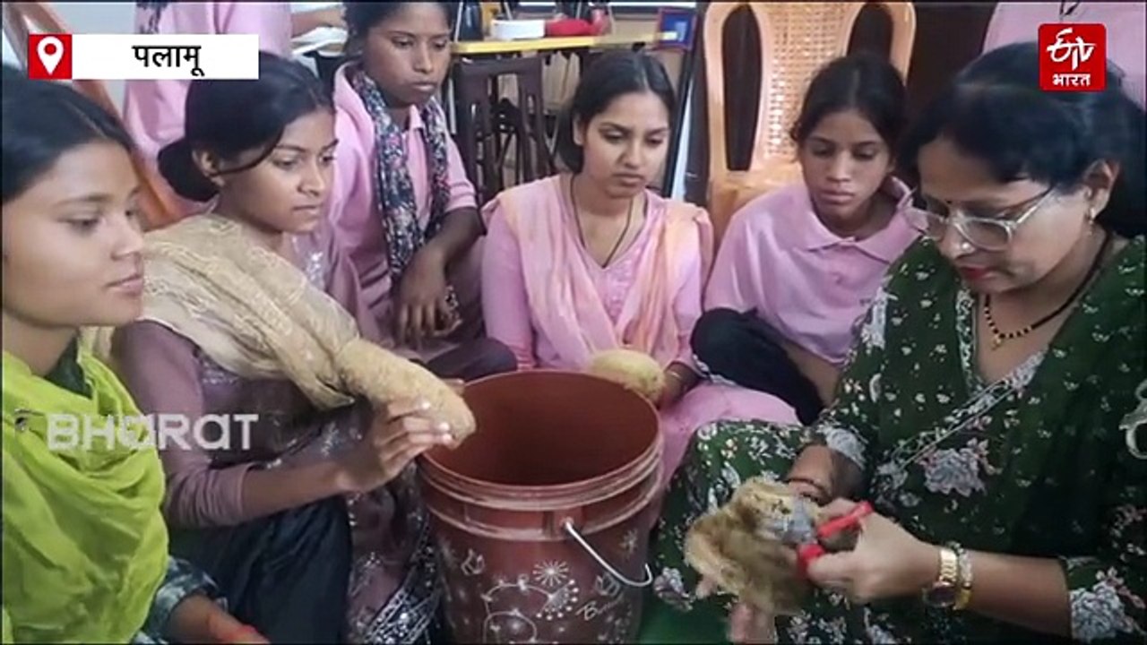 कद्दू और नेनुआ का स्पंज बन सकता है बड़ा रोजगार का साधन, ऑनलाइन बाजार में बड़ी मांग, कुटीर उद्योग के रूप में स्थापित करने की योजना