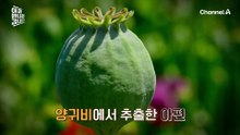 몸이 아프면 아편 주사를 넣는다?! 북한 주민들의 상비약이 되어버린 '마약'