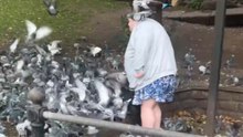 Woman gets swarmed by eager pigeons in a playful moment that mirrors Home Alone scene