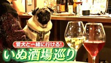 いぬじかん 愛犬と一緒に楽しめるワンコ酒場特集！渋谷のスーパーアイドル看板犬 - 2026年04月05日