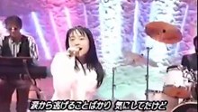 椎名へきる　テレビ出演