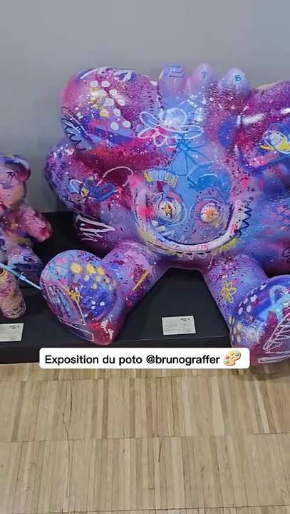 Exposition du poto Bruno Graffer 🎨