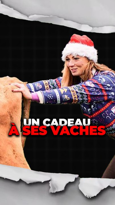 Des pulls pour des vaches ??