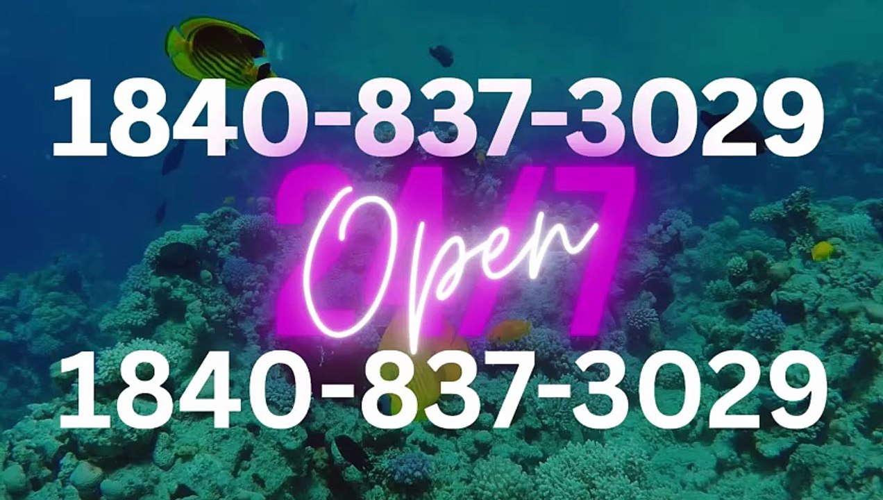 【Full】℠ [*List] of Coinbase Toll Free nUmbers in the USA: The Ultimate Explained Guide