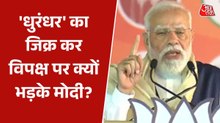 'ये लोग सिर्फ झूठ फैला रहे', 'धुरंधर' को लेकर विपक्ष पर बरसे पीएम मोदी