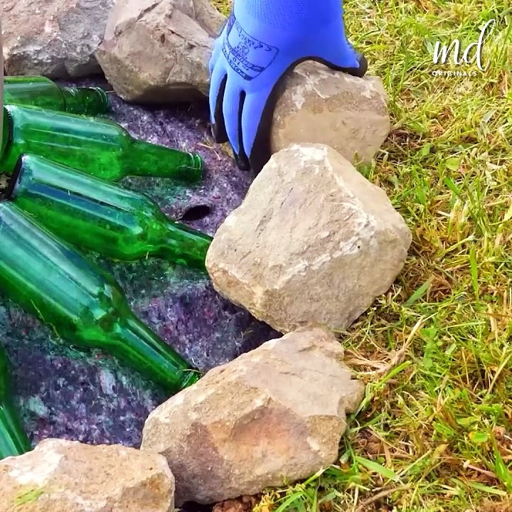 Crafting stunning flower beds from scratch!
