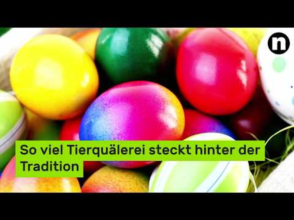 Finger weg von Ostereiern - so viel Tierquälerei steckt hinter der Tradition
